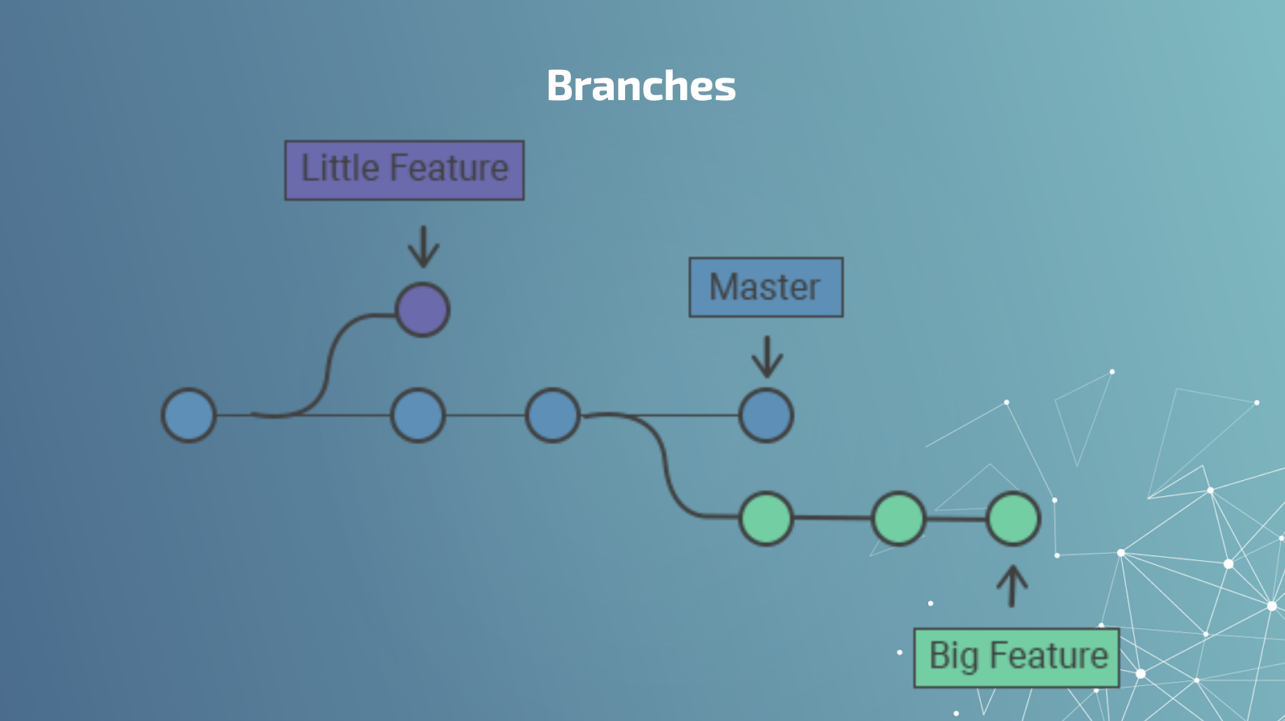 Branches Visualized